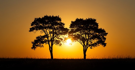 Fellowship By Redemption